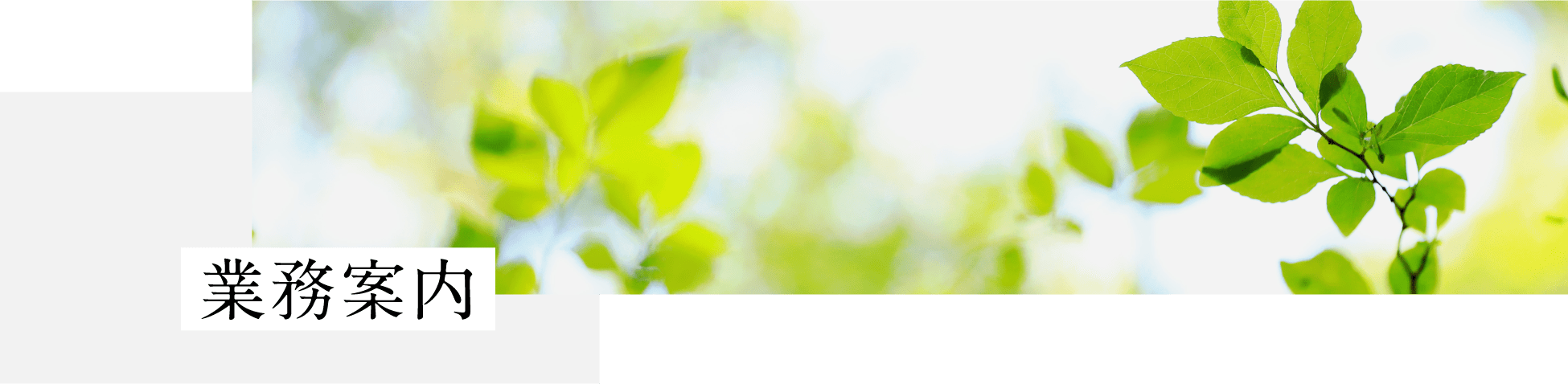 業務案内